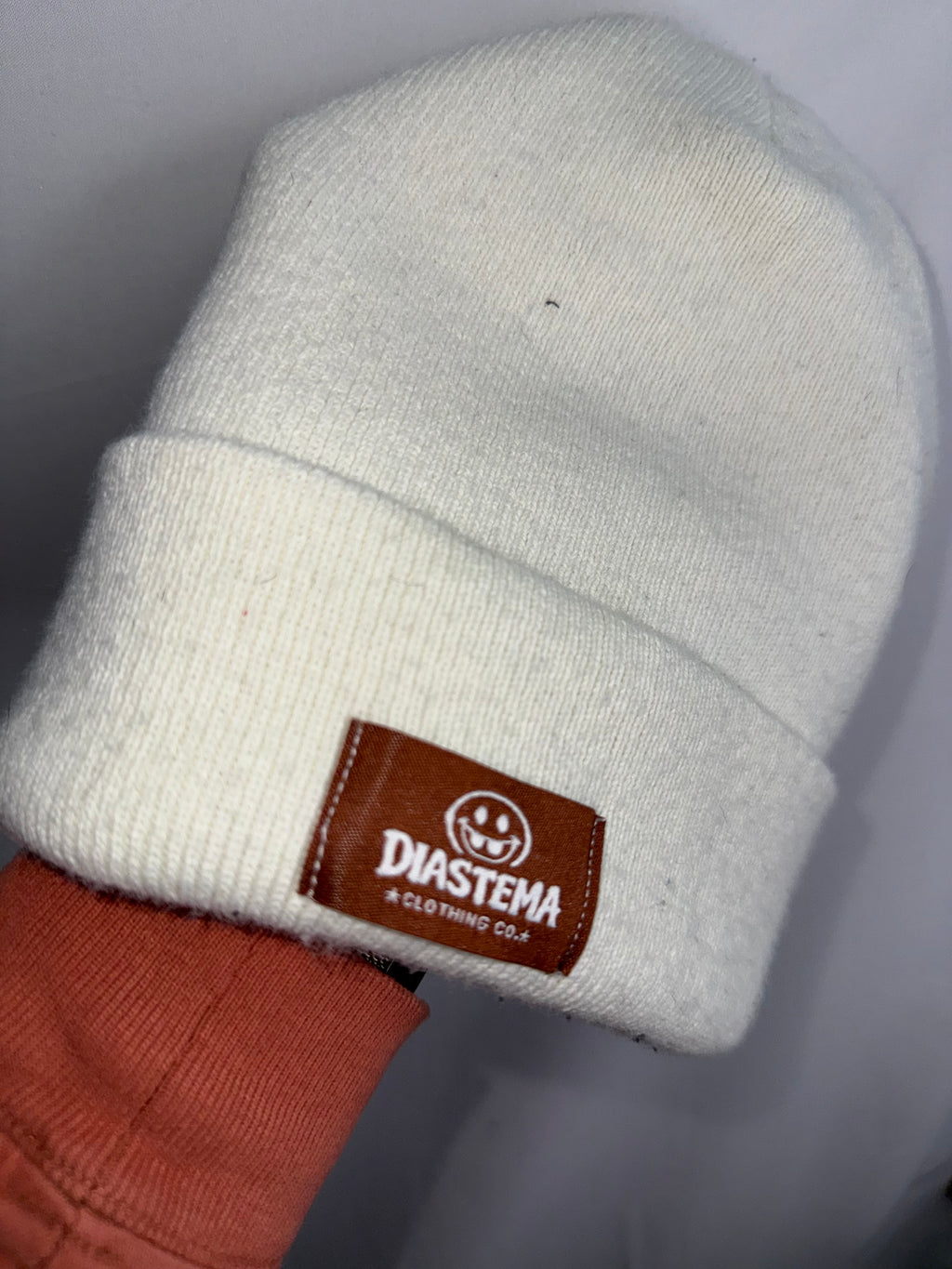 Carhartt Beanie — PN WR